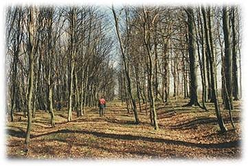 Die Helmetalbahn � heute (Foto: Pressestelle Landratsamt)