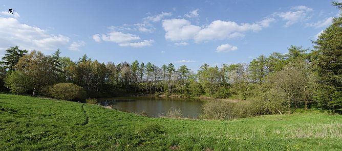 Erdfallseen, trockene Fl&uuml;sse und ganz viel Raps - Christian Schelauske war im Nordwesten des Landkreises unterwegs (Foto: Christian Schelauske)