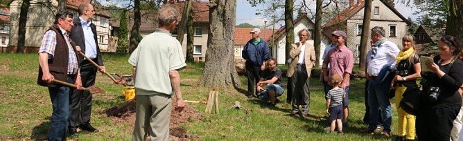 Baum gepflanzt (Foto: S. Schedwill)