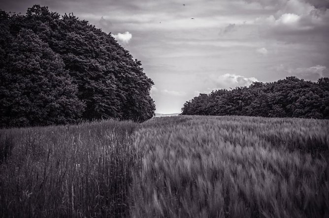 Wetterbild (Foto: Gernot Thelemann)