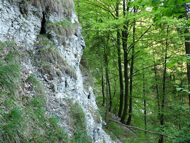 Pfingstwanderung am Alten Stolberg (Foto: Naturpark S&uuml;dharz)