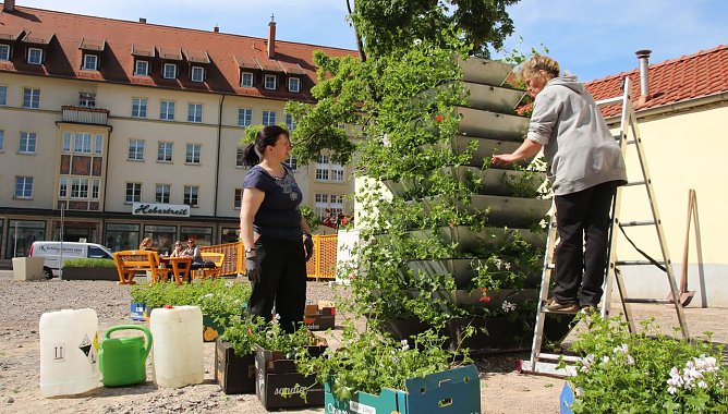 Es gr&uuml;nt so gr&uuml;n... (Foto: Presse Stadtverwaltung)