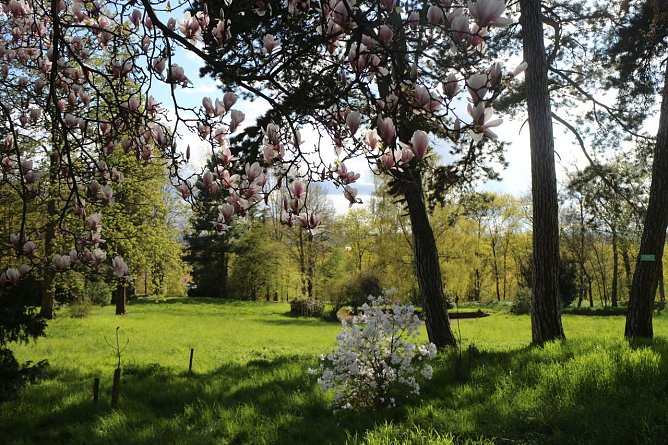 Alles bereit f&uuml;r das Parkfest - in dieser Woche wird im Park Hohenrode noch einmal ordentlich zugepackt (Foto: Angelo Glashagel)