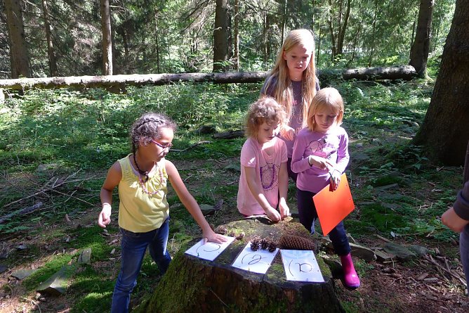 Der Harzklub l&auml;dt zum 20. Naturschutztag (Foto: Harzklub e.V.)