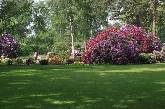 Eine Pracht: die bl&uuml;henden Rhododendren in der Rosenstadt Eutin. (Foto: Kurt Frank)