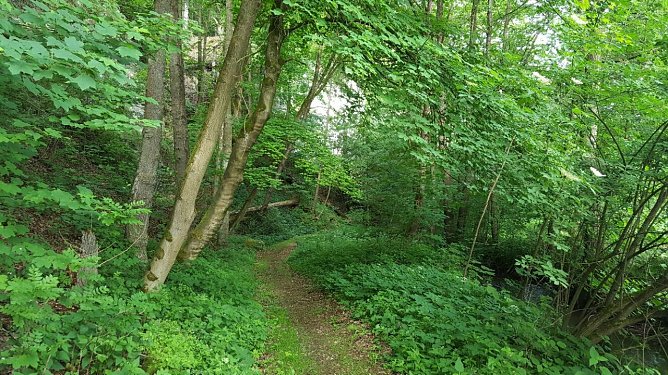 Ab geht es in die entschleunigte Natur (Foto: privat)
