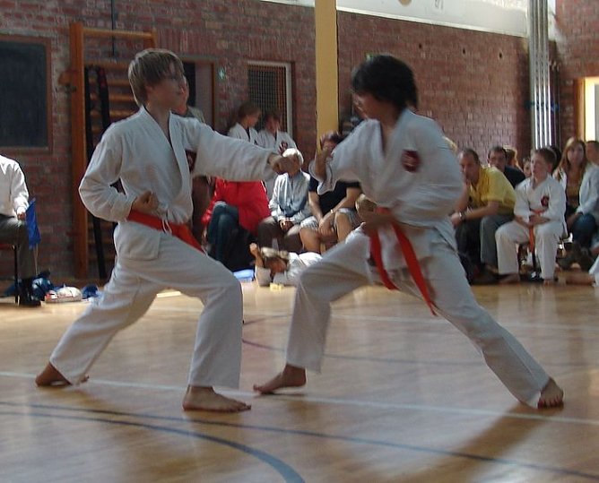 Interessante K&auml;mpfe (Foto: Pelny)