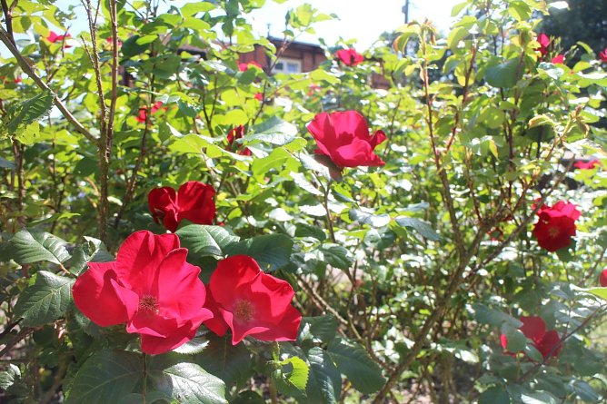 Wetterbild (Foto: Angelo Glashagel) Wetterbild (Foto: Angelo Glashagel)