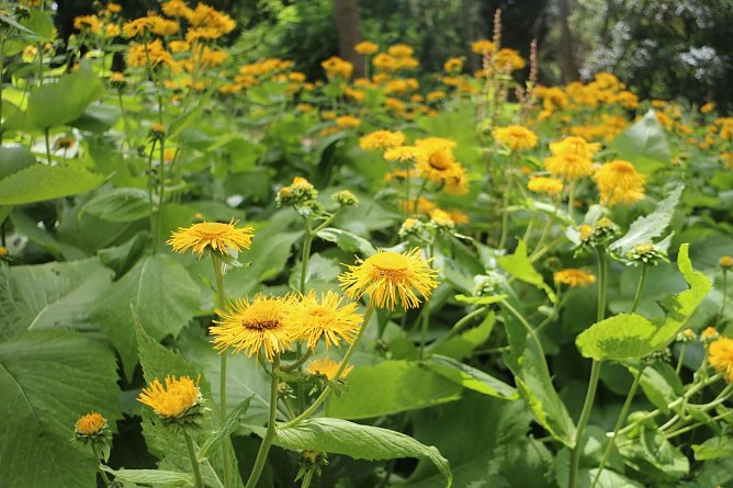 Wetterbild (Foto: Angelo Glashagel)