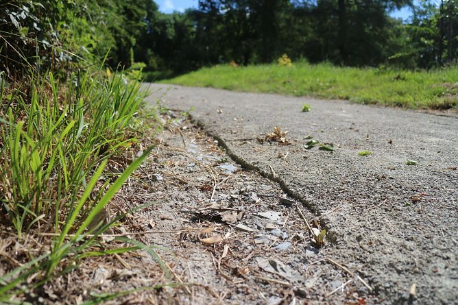 Der Regen sp&uuml;lt die Deckschicht der Wege weg und hat noch leichteres Spiel, wenn Radfahrer tiefe Rillen hinterlassen (Foto: Angelo Glashagel)