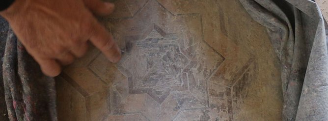 Im Park Hohenrode will man den Kampf gegen den Schwamm dieses Jahr beenden (Foto: Angelo Glashagel)