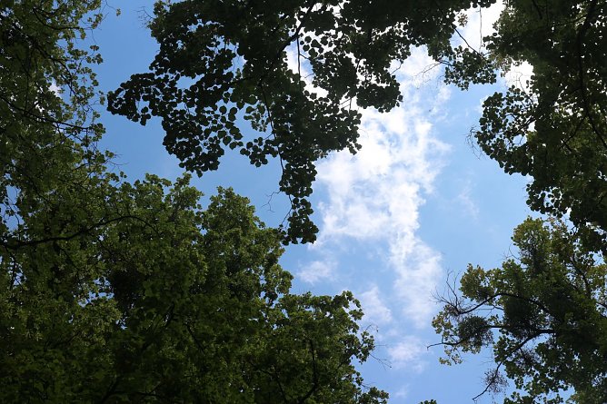 Wetterbild (Foto: Angelo Glashagel)