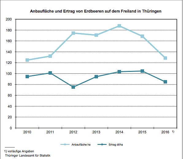Anbaufl&auml;che und Ertrag von Erdbeeren auf dem Freiland in Th&uuml;ringen (Foto: Th&uuml;ringer Landesamt f&uuml;r Statistik)