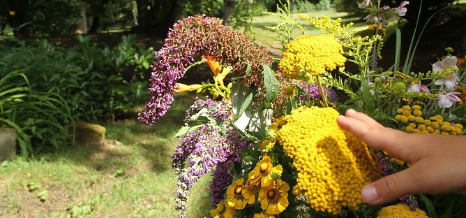 Offene G&auml;rten im Landkreis Nordhausen (Foto: Angelo Glashagel)