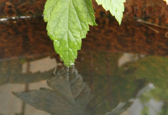 Wetterbild (Foto: Angelo Glashagel)
