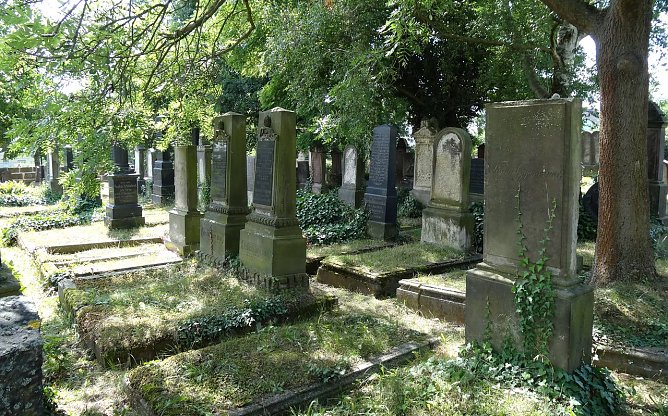 Grabsteinreihen auf Nordh&auml;user Friedhof (Foto: Marie-Luis Zahradnik)