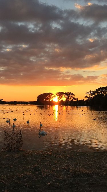 Abendstimmung (Foto: I. Koch)