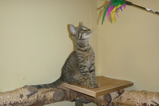 Tier der Woche: Winni (Foto: Birgit Hellrung)