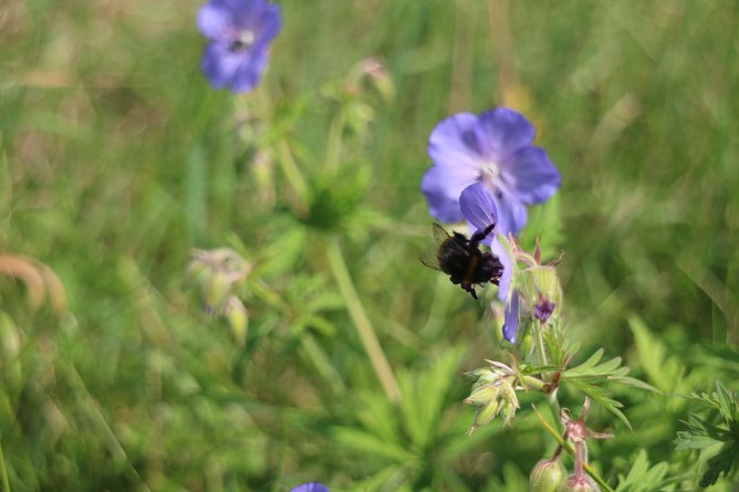 Wetterbild (Foto: Angelo Glashagel) Wetterbild (Foto: Angelo Glashagel)