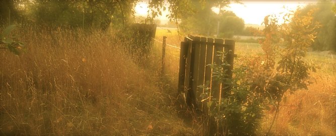 3. Tag der seelischen Gesundheit (Foto: Angelo Glashagel)