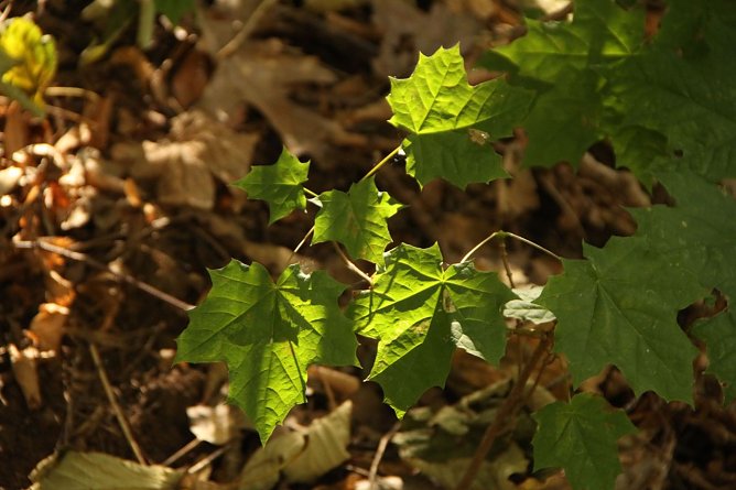 Wetterbild (Foto: Angelo Glashagel)