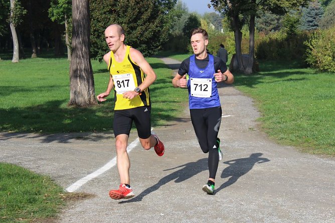 Die langen Strecken beim Stadtparklauf (Foto: Karl-Heinz Herrmann)