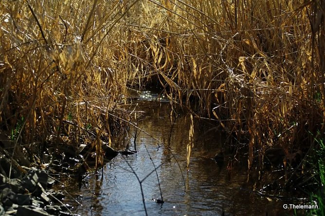 Wetter-Bild (Foto: Gernot Thelemann)