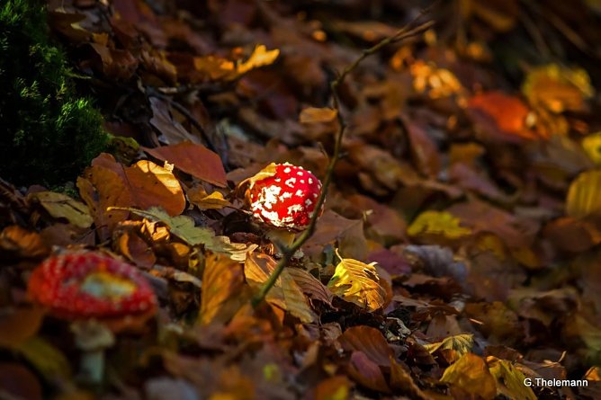 Wetter-Bild (Foto: Gernot Thelemann)