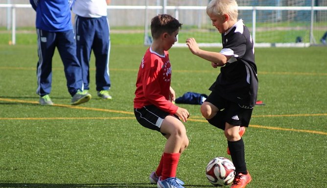 F&uuml;nffacher Torsch&uuml;tze (Foto: M. Bossog)