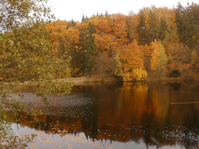 Goldener Herbst am Heiligen Teich bei Gernrode (Foto: Bernd Thielbeer)