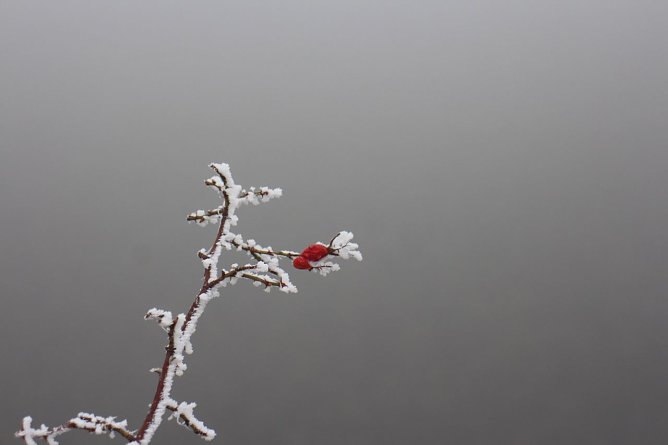 Wetterbild (Foto: Angelo Glashagel)
