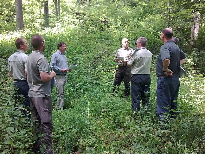 Verteidigt (Foto: SVB)