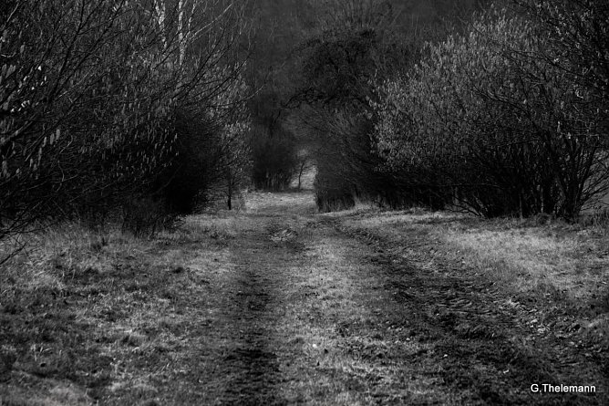 Wetter-Bild (Foto: Gernot Thelemann)