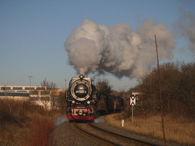 Silvesterzug in Nordhausen (Foto: Bernd Thielbeer)