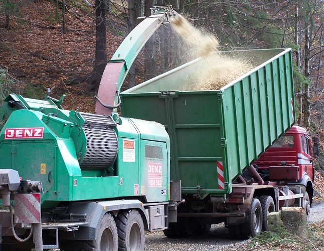 Hacker (Foto: Th&uuml;ringenforst)