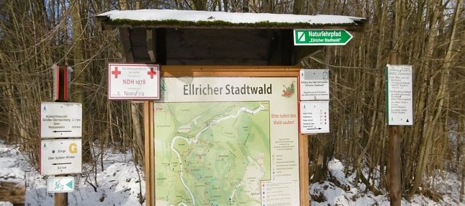 Stadtwald Ellrich eine Perle des S&uuml;dharzes (Foto: Forstamt)