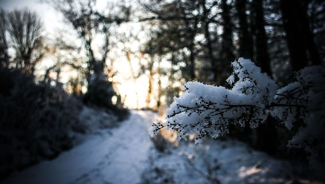 Wetter-Bild (Foto: Gernot Thelemann)