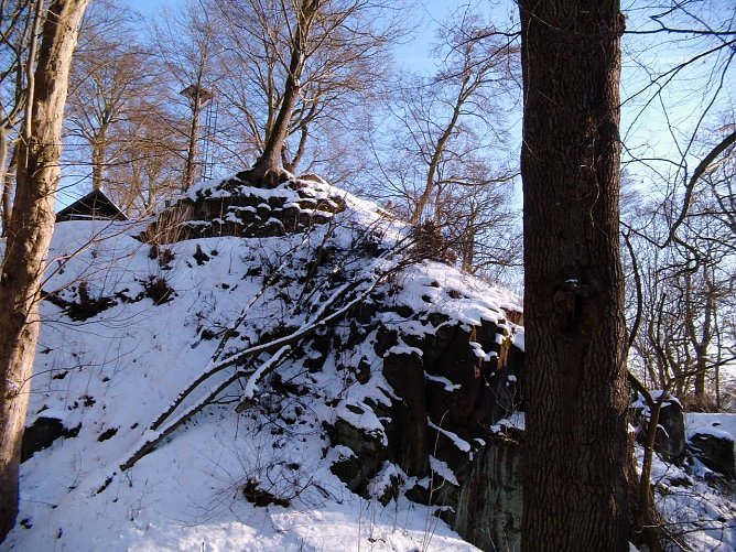 Auf dem Ilfelder Burgberg will man wieder anpacken (Foto: Ulrike Tuschy)