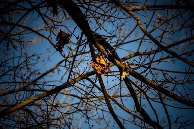 Wetter-Bild (Foto: Gernot Thelemann)