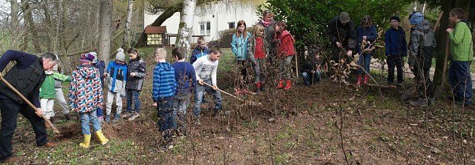 Gemeinsam einen Buchenhecke gepflanzt (Foto: nnz)