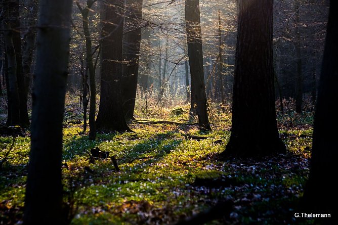 Wetterbild (Foto: Gernot Thelemann) Wetterbild (Foto: Gernot Thelemann)