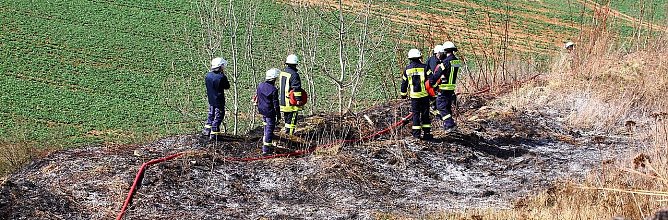 Fl&auml;chenbrand bei Sollstedt (Foto: Bernd Peter)