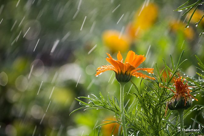 Wetterbild (Foto: Gernot Thelemann) Wetterbild (Foto: Gernot Thelemann)