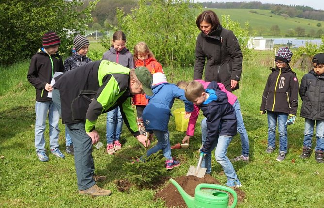 Klein Fichte gepflanzt (Foto: privat)