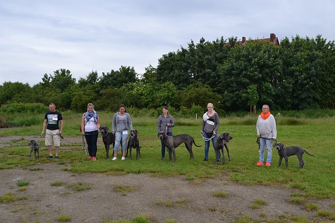 Schönheitsschau für Vierbeiner (Foto: Anika Koe) Schönheitsschau für Vierbeiner (Foto: Anika Koe)