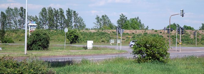 Dieser Wall sch&uuml;tzt Seelano und begr&uuml;nt sich derzeit (Foto: nnz)