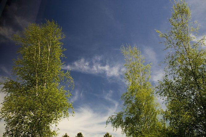 Wetter-Bild (Foto: Gernot Thelemann)