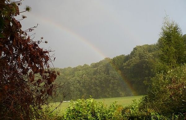 Regenbogen (Foto: privat)