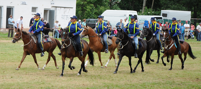 45. Ponyschau in W&uuml;lfingerode (Foto: PRFZV W&uuml;lfingerode e. V.)