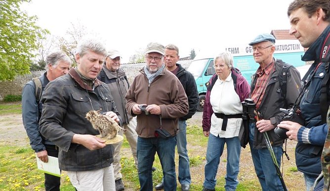 Wildkatzenwanderung  (Foto: BUND)